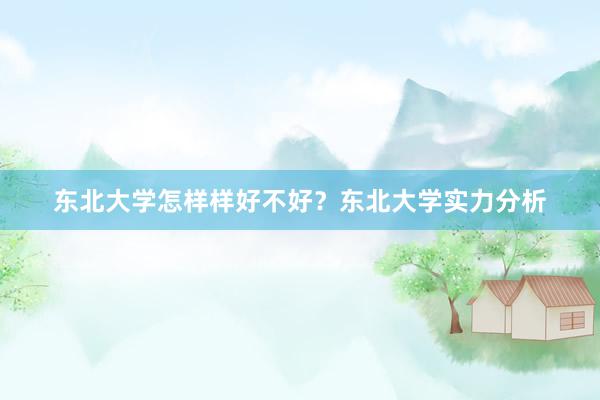 东北大学怎样样好不好？东北大学实力分析