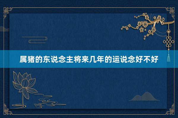 属猪的东说念主将来几年的运说念好不好
